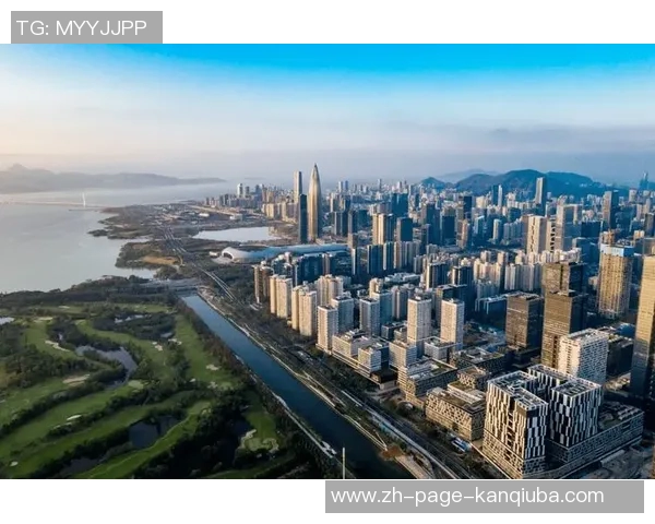 深圳与省级城市发展对比分析探讨经济增长与创新驱动的未来路径 深圳与省级城市发展对比分析探讨经济增长与创新驱动的未来路径